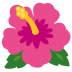 :hibiscus: :hibiscus: